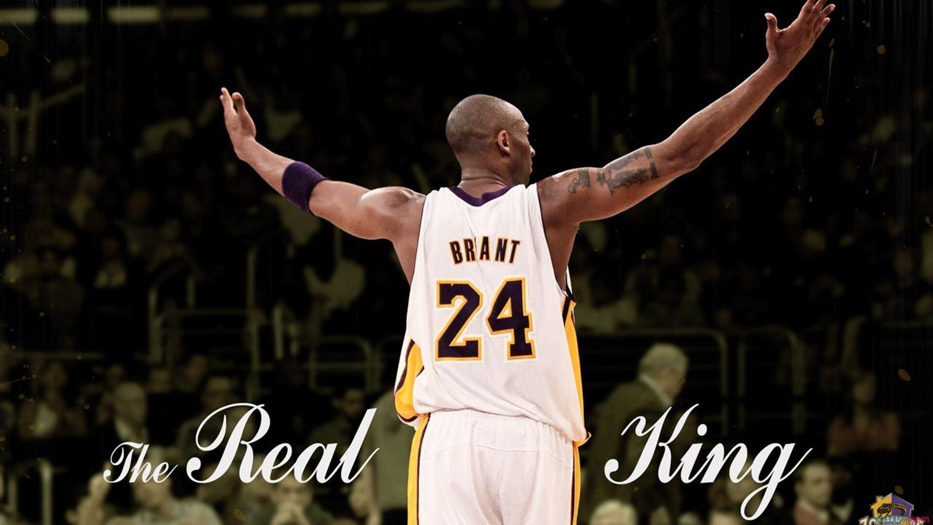 大比分获胜首场状态出色，塞尔维亚队观众沸腾！字母哥重返赛场再创辉煌时刻-九游会娱乐app