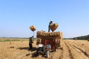 鐟炴槺rtl816881118112